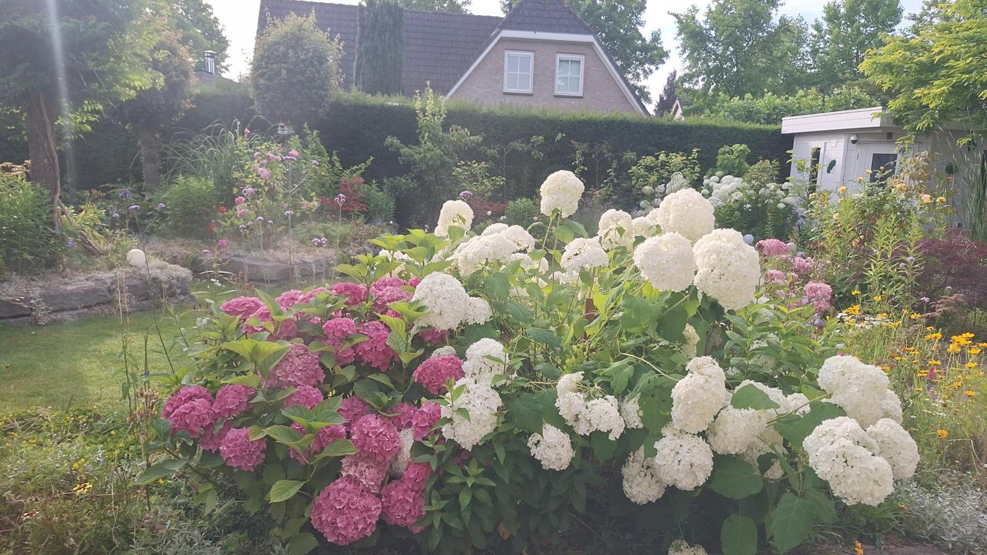 Dajan Villa Almere Ngoại thất bức ảnh